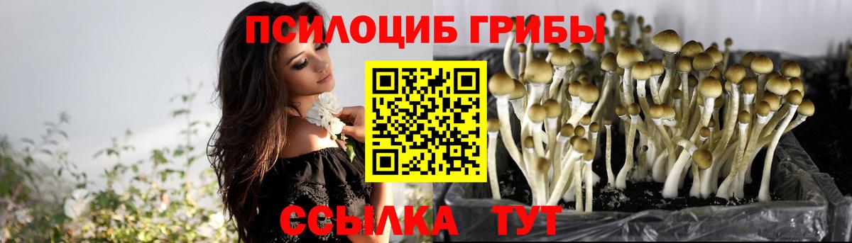 Галлюциногенные грибы GOLDEN TEACHER  Вход с VPN  наркотики  Псилоцибиновые грибы MAGIC MUSHROOMS  Белая Калитва 